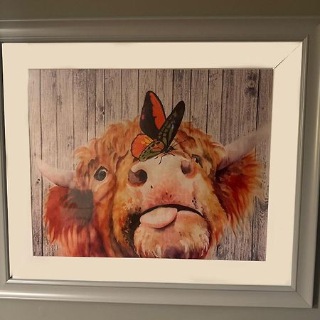 The Veterinary @ Kildare Village Buitenkant foto